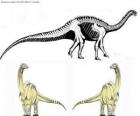 Zizhongosaurus, erken Jurassic dönem Çin'de yaşamış olan Bazal otçul sauropod dinozor dinozordur.